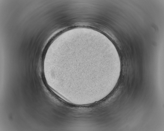 X0000112810984200910021137