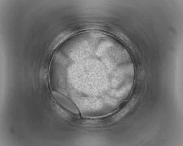 X0000112810985200910021137