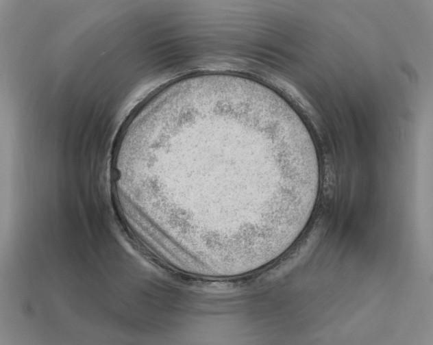X0000112810986200910021137