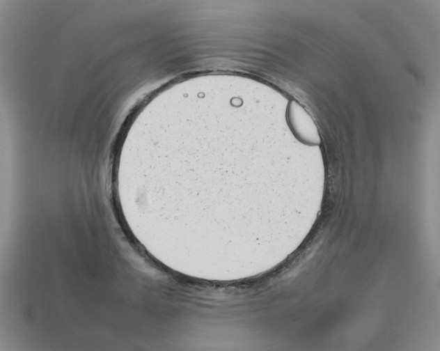 X0000112810987200910021137