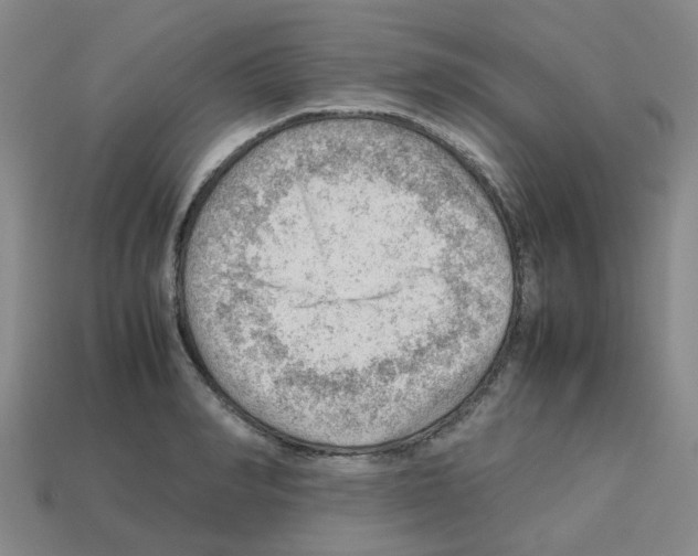 X0000112810990200910021137