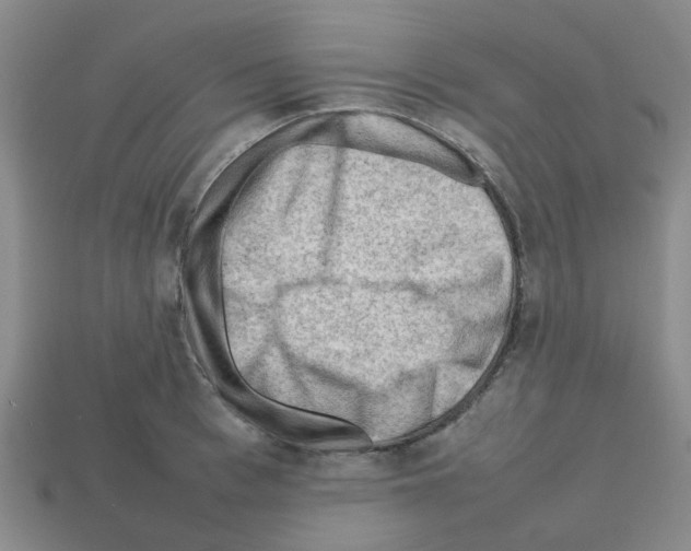 X0000112810993200910021137
