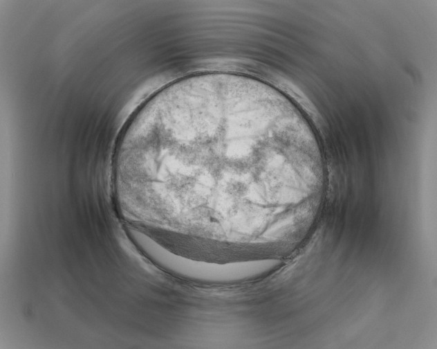 X0000112810994200910021137