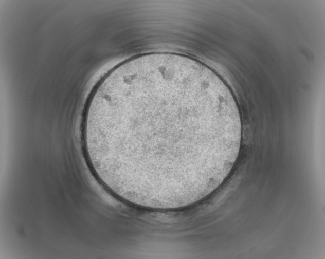 X0000112810995200910021137