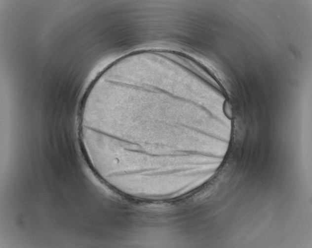 X0000112810998200910021137