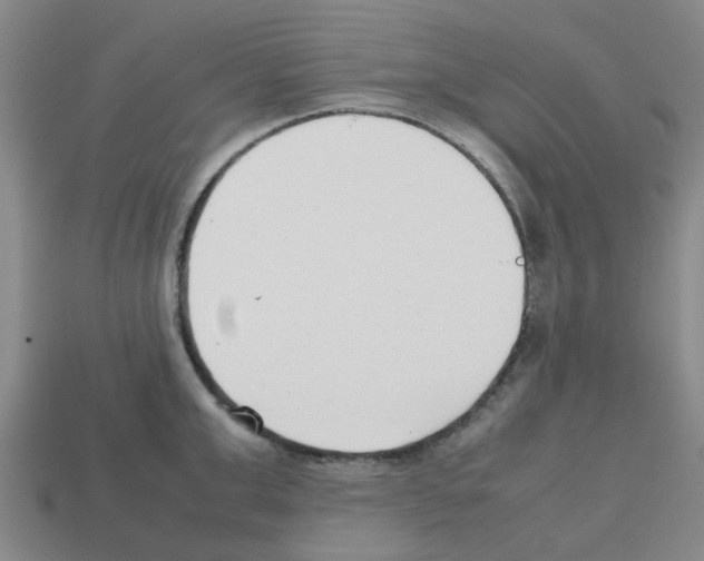 X0000112810999200910021137