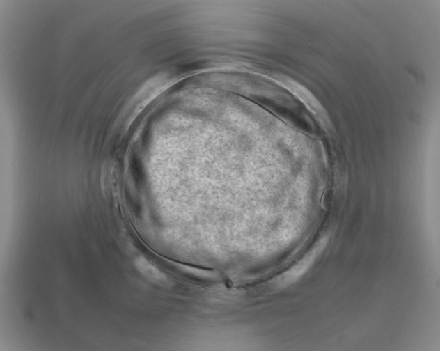 X0000112811001200910021137