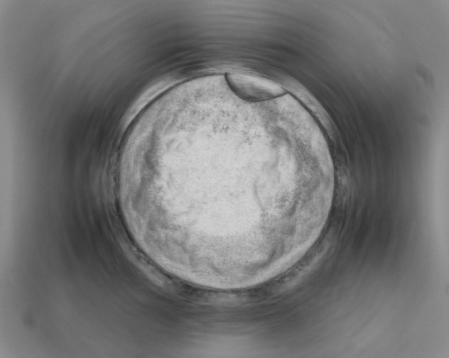 X0000112811002200910021137