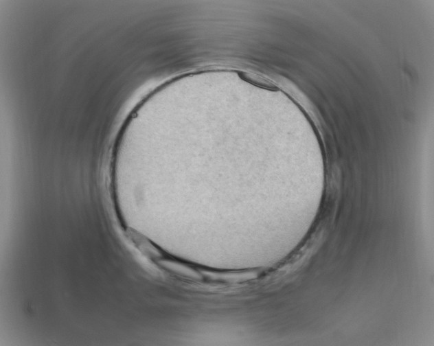 X0000112811005200910021137
