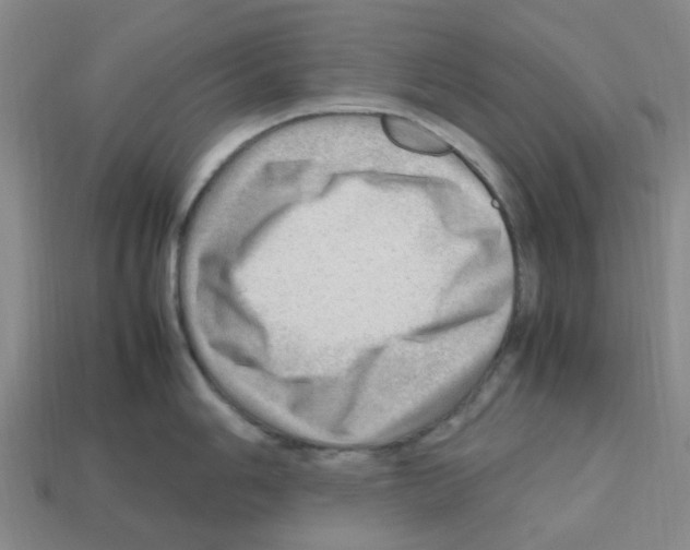 X0000112811006200910021137