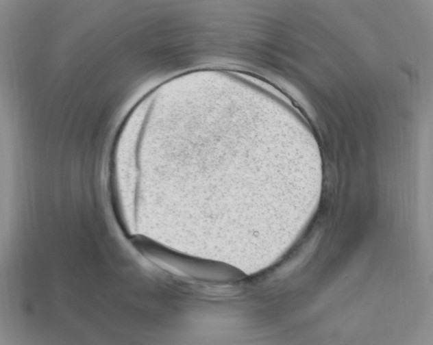 X0000112811007200910021137