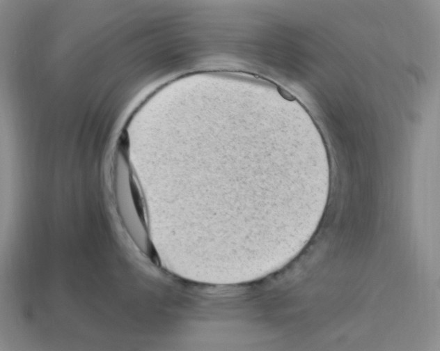 X0000112811008200910021137