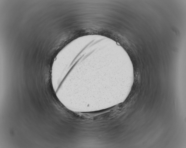 X0000112811012200910021136