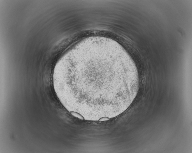 X0000112811014200910021136