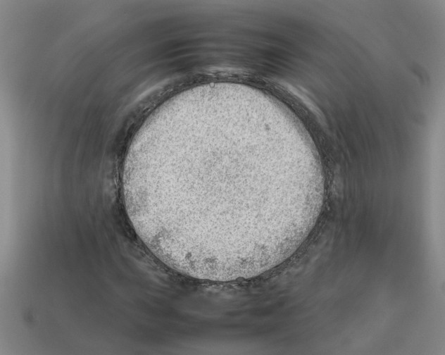X0000112811015200910021136