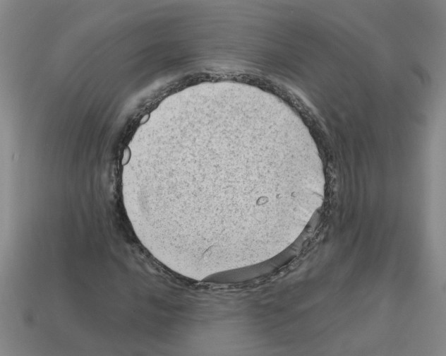 X0000112811016200910021136