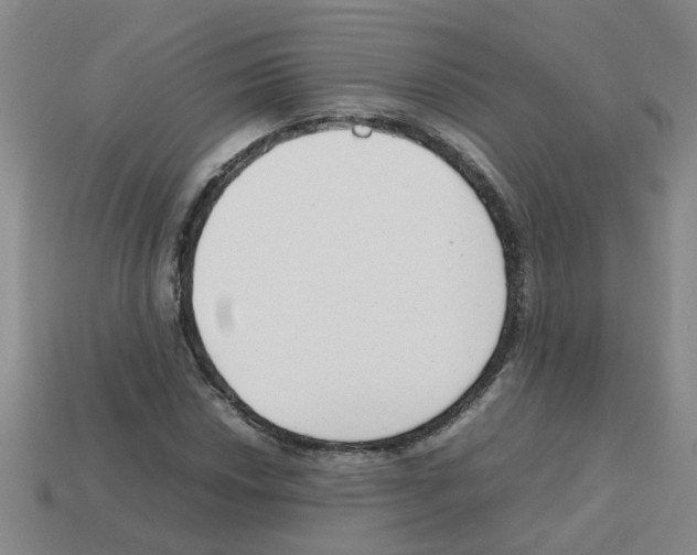 X0000112811018200910021136