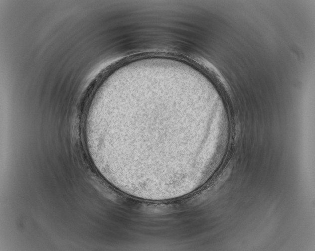 X0000112811019200910021136