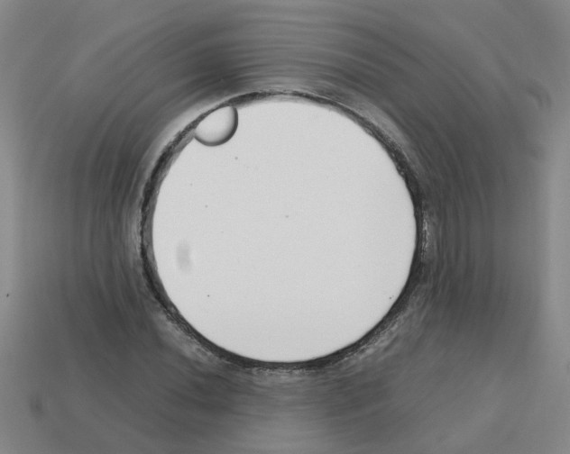 X0000112811020200910021136