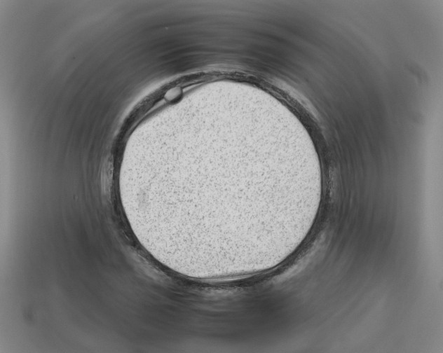 X0000112811021200910021136
