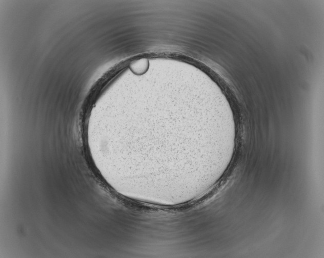 X0000112811022200910021136
