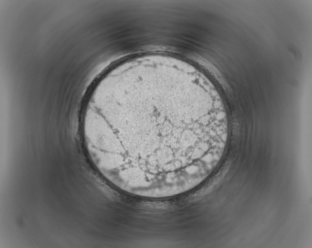 X0000112811023200910021136