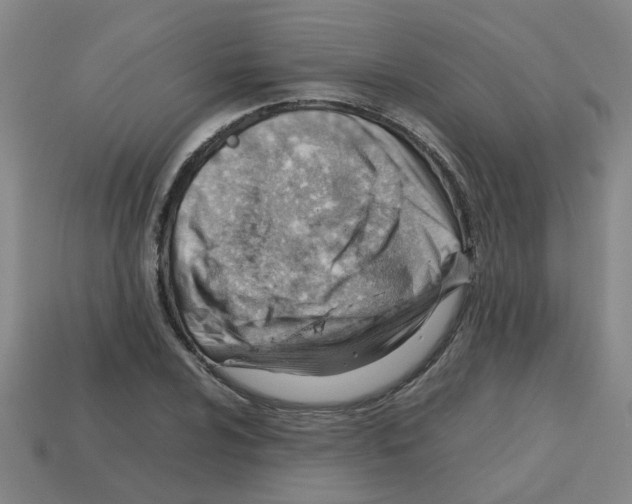 X0000112811024200910021136