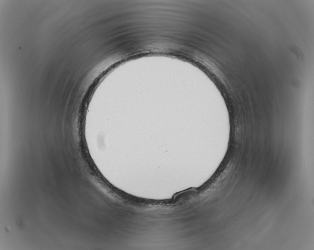 X0000112811026200910021136