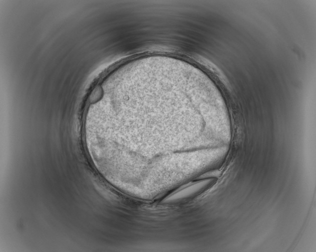 X0000112811027200910021136