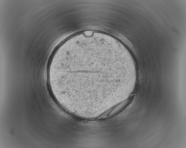 X0000112811028200910021136