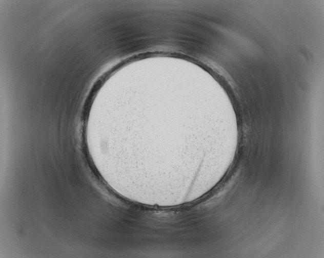 X0000112811029200910021136