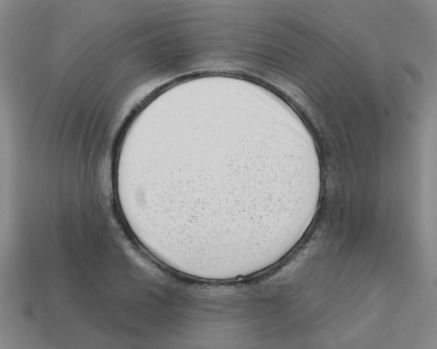 X0000112811030200910021136