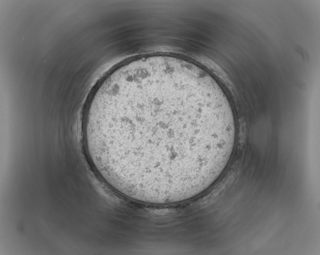 X0000112811031200910021136