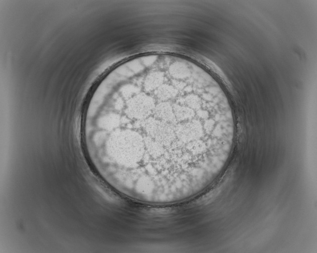 X0000112811035200910021136