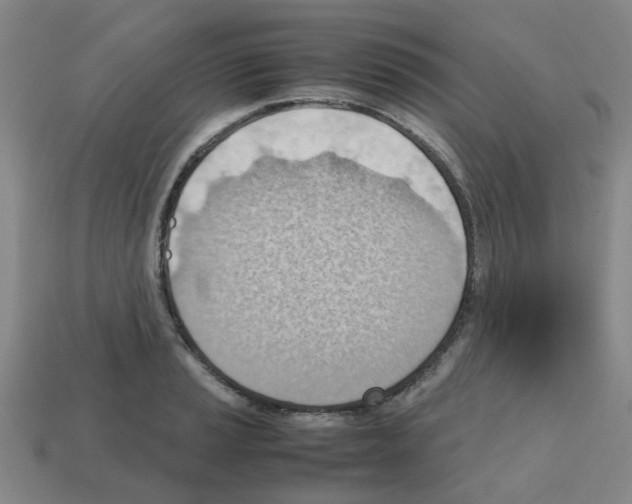 X0000112811037200910021137