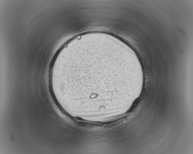 X0000112811038200910021137