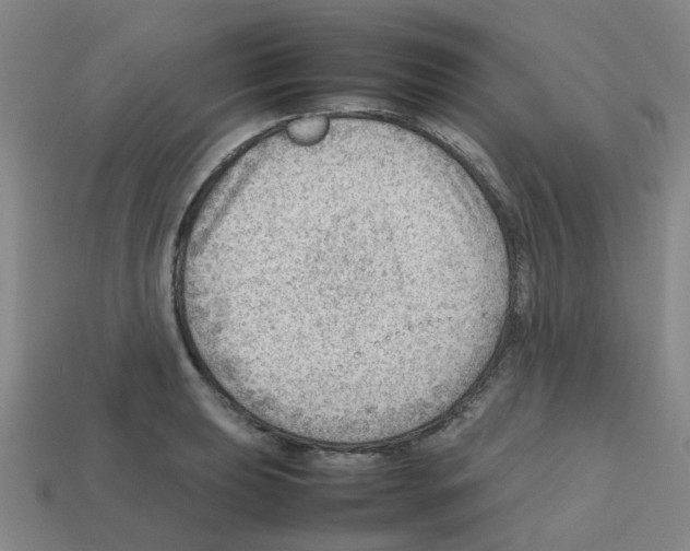 X0000112811039200910021137