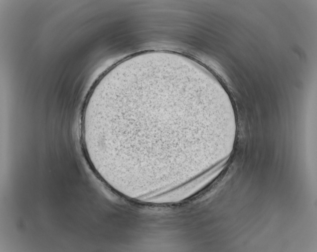 X0000112811040200910021137