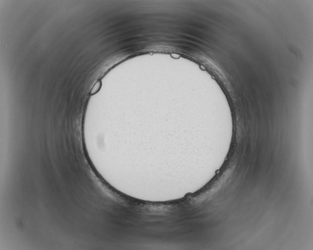 X0000112811041200910021137