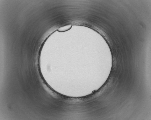 X0000112811042200910021137