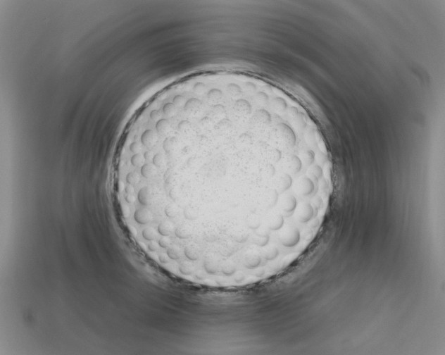 X0000112811044200910021137