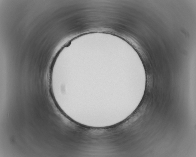 X0000112811046200910021137