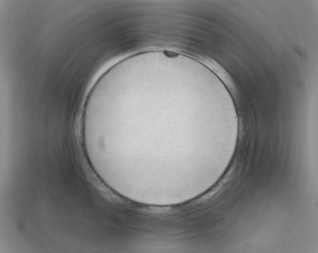 X0000112811052200910021137