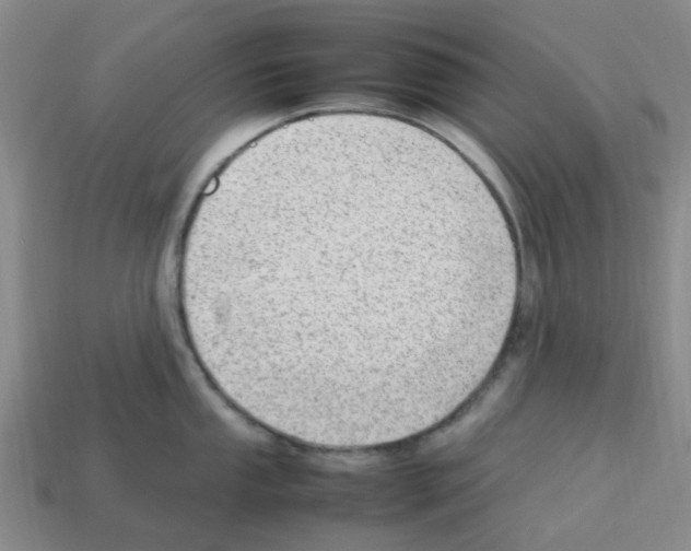X0000112811053200910021137