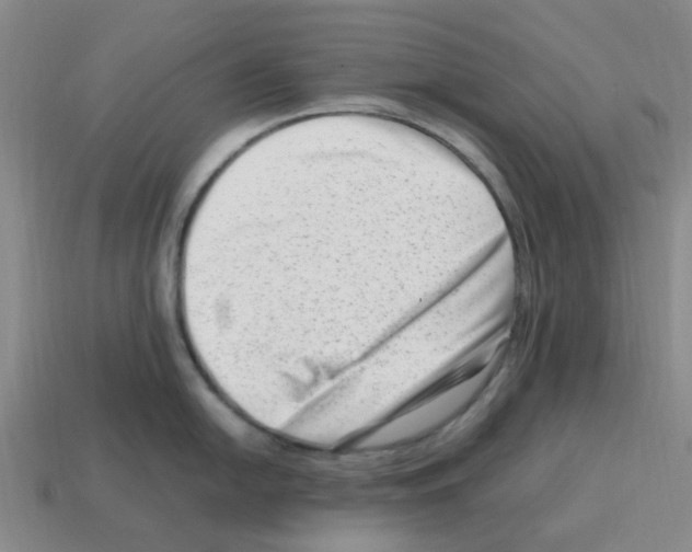 X0000112811054200910021137