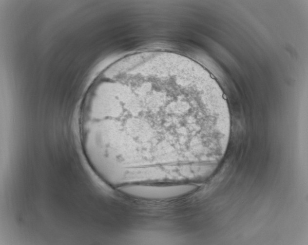 X0000112811055200910021137