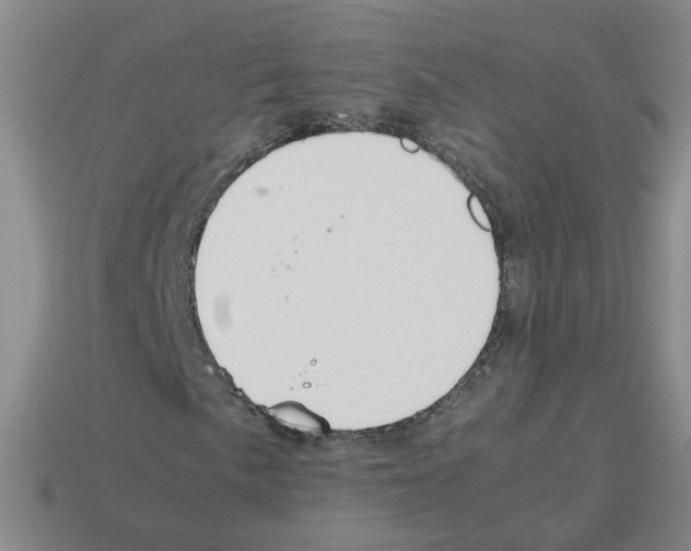X0000112811057200910021136