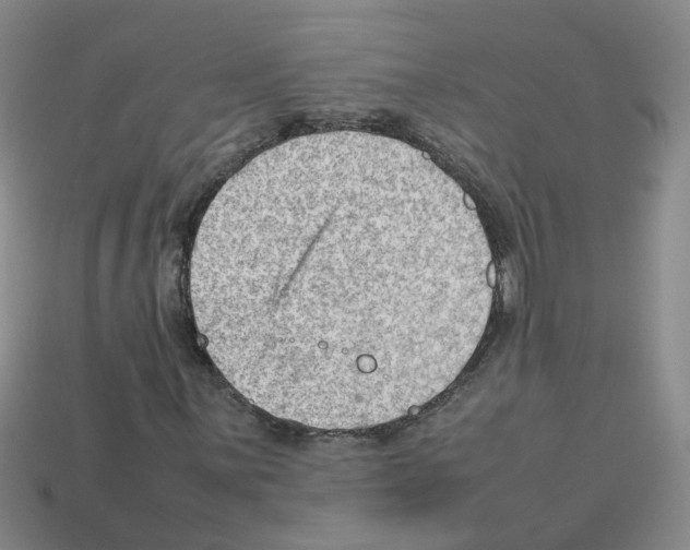 X0000112811059200910021136