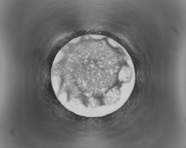 X0000112811063200910021136