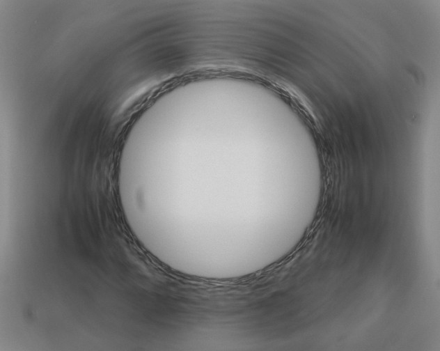 X0000112811064200910021136